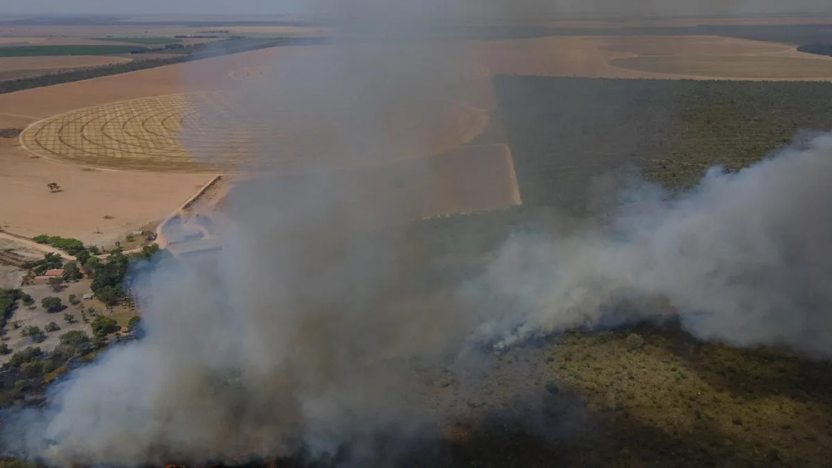 La ignorada sabana brasileña sustituye a la Amazonía como foco rojo de la deforestación