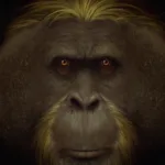 Las causas de la extinción del mayor primate conocido, finalmente resueltas