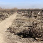 Los campos de Afganistán enfrentan los efectos de la peor seguía de los últimos 30 años
