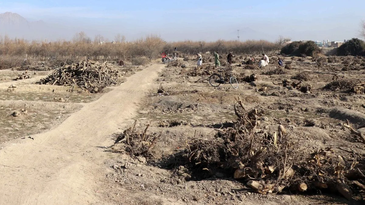 Los campos de Afganistán enfrentan los efectos de la “peor sequía” de los últimos 30 años