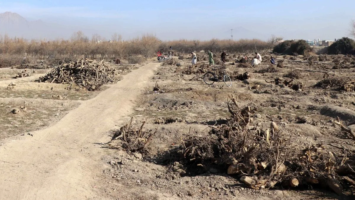 Los campos de Afganistán enfrentan los efectos de la peor seguía de los últimos 30 años