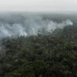 Los incendios en la Amazonía cayeron un 10,8 % en 2023 pese a su histórica sequía