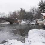 Más de 100 millones de personas en EE.UU. están bajo alerta por una tormenta invernal