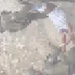 Crimen y venganza en Buenaventura: niña de 13 años es asesinada por su padrastro y este es linchado por los vecinos