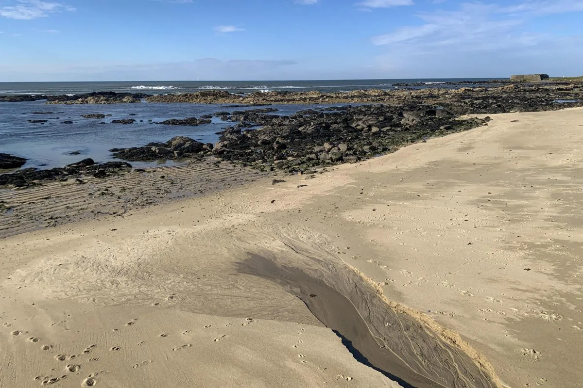 Portugal vigila el Atlántico por si llega la “marea de plástico”