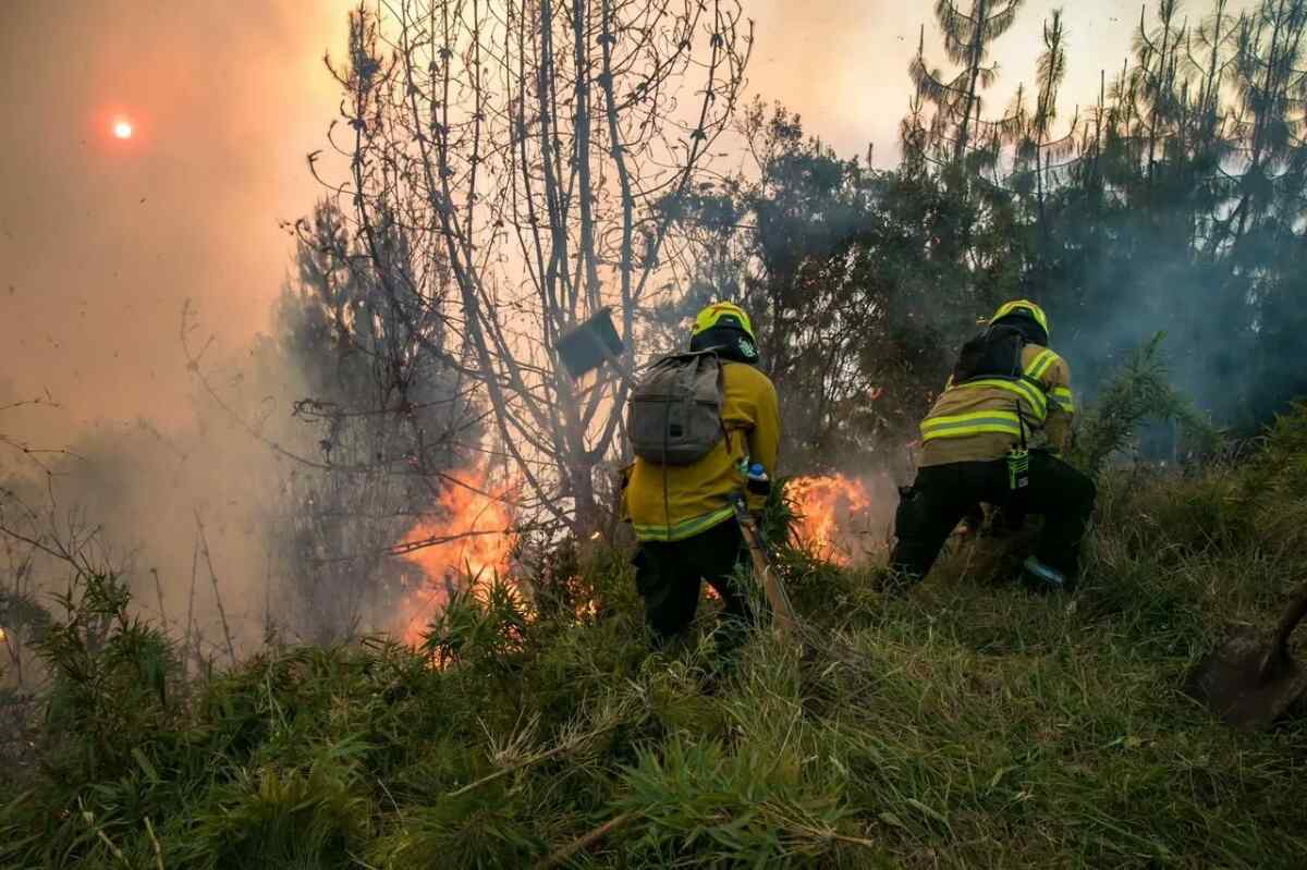 Los bomberos de Bogotá luchan contra el fuego en el cerro El Cable