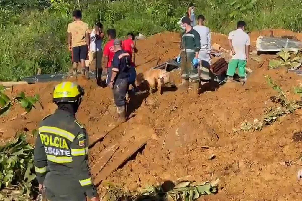 Emergencia en la vía Medellín-Quibdó: 33 personas pierden la vida y varias quedan heridas por los derrumbes