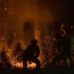 Cómo colaborar con los bomberos y las autoridades en caso de incendio forestal