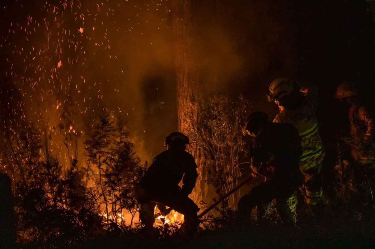 Cómo colaborar con los bomberos y las autoridades en caso de incendio forestal