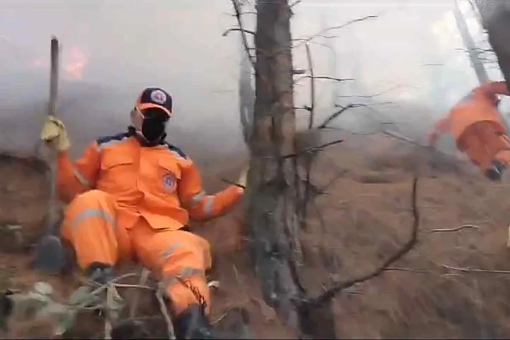 Incendio en los cerros orientales de Bogotá: así fue la emergencia que atendieron los bomberos
