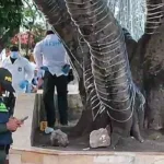 Un sicario balea a un hombre en el parque Santander de Sincelejo y huye en moto