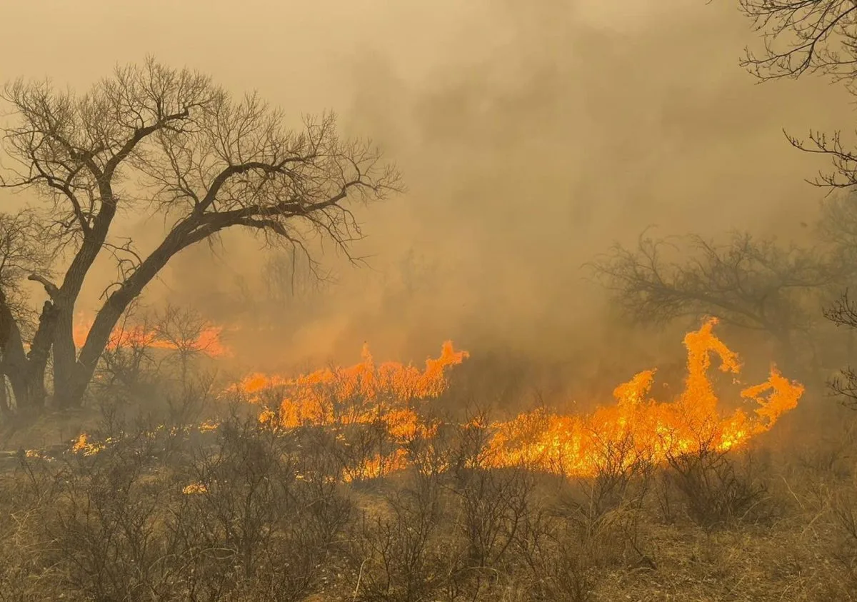 Al menos un muerto y casi medio millón de hectáreas devastadas por incendios en Texas