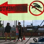 Brasil supera el medio millón de casos de dengue en lo que va de año