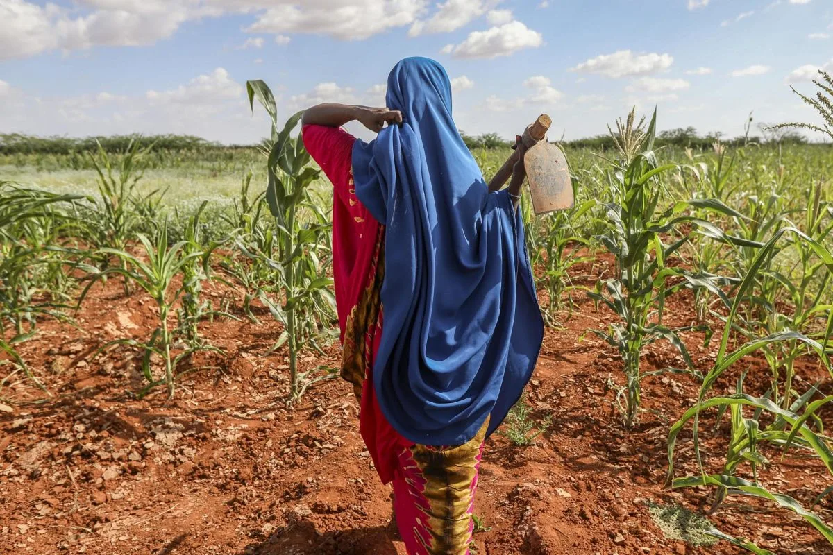 De la sequía a la inundaciones - Somalia en la trinchera de la crisis climática