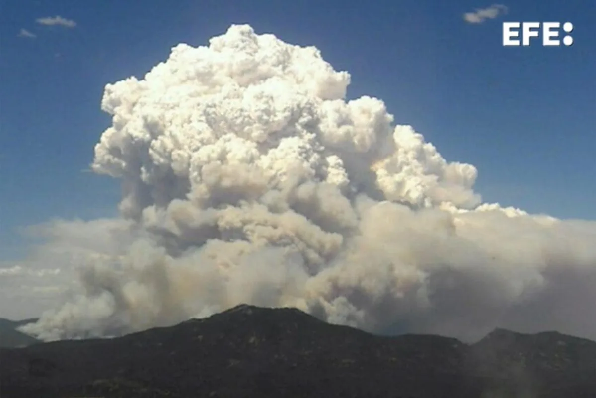 Desalojan decenas de poblaciones del sureste de Australia por incendios forestales