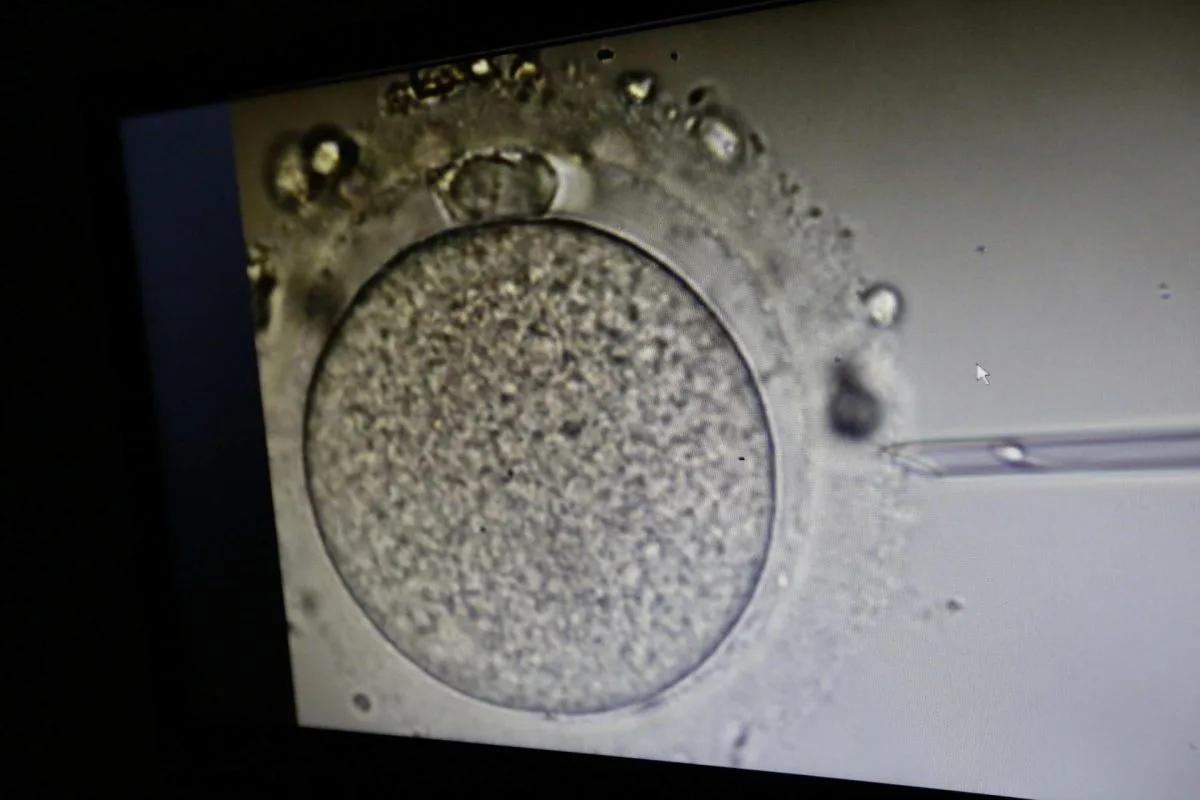 El Legislativo de Alabama protege la fecundación 'in vitro' tras polémico fallo judicial
