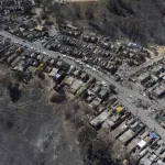 Gobierno de Chile destinará 500.000 dólares para restaurar Jardín Botánico tras incendios