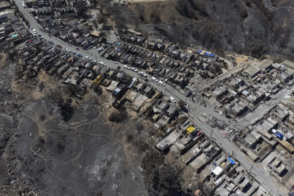 Gobierno de Chile destinará 500.000 dólares para restaurar Jardín Botánico tras incendios