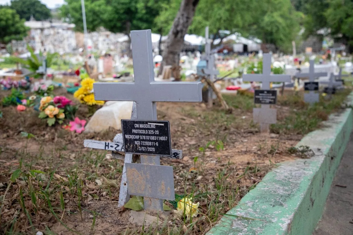 Recuperan 211 cuerpos de víctimas de desaparición en el conflicto colombiano en Cúcuta