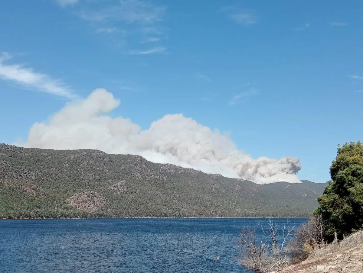 Unas 44 propiedades se quemaron por los incendios forestales en el sur de Australia