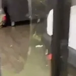 Pareja vandaliza un Glamping en Guatapé y se da a la fuga