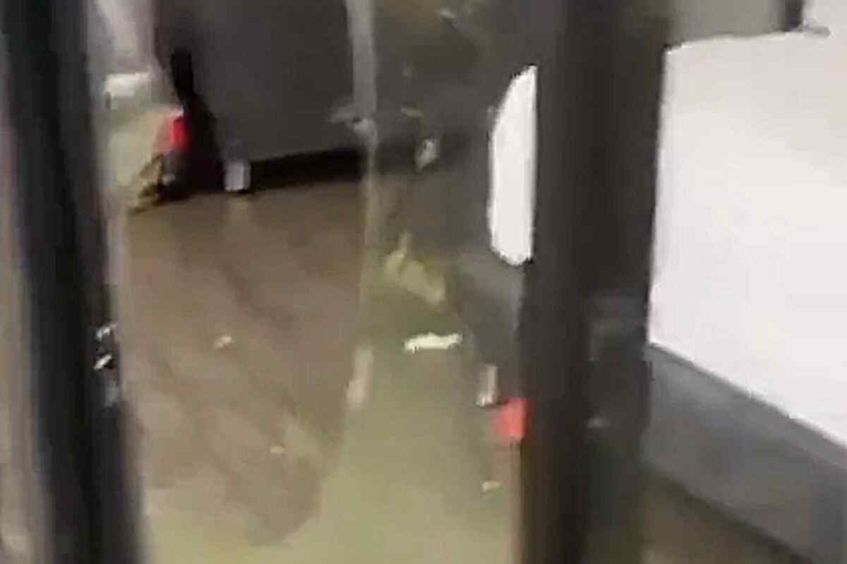 Pareja vandaliza un Glamping en Guatapé y se da a la fuga