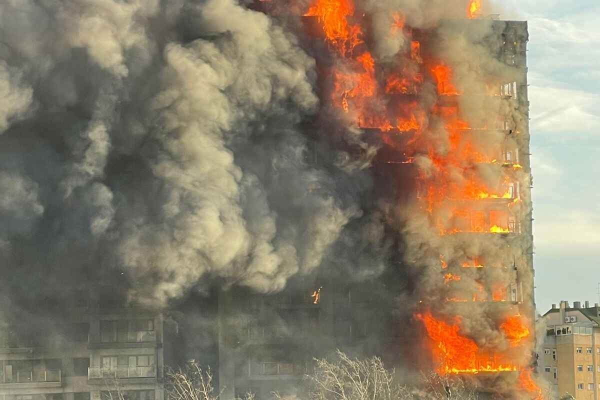 Un centenar de mascotas, las otras víctimas del incendio de Campanar, en Valencia