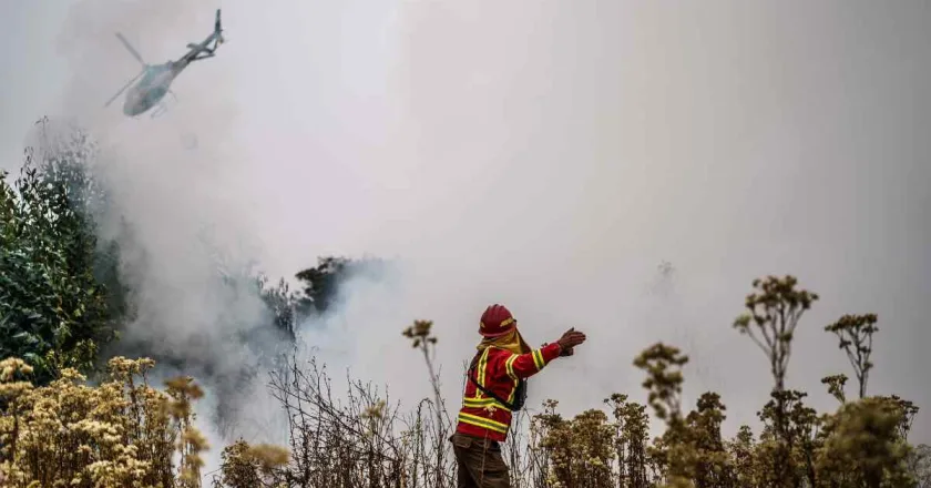 El incendio forestal más letal de la historia de Chile deja un saldo de 99 muertos