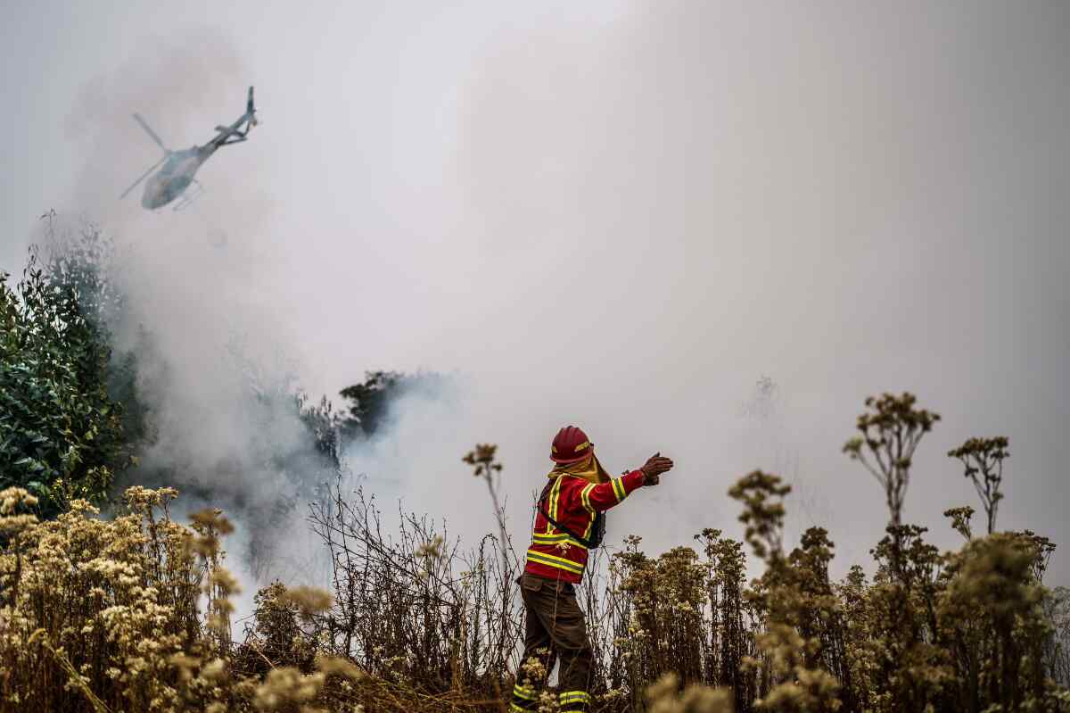 Tragedia en Chile: el incendio forestal de Valparaíso cobra 99 vidas y arrasa miles de hectáreas