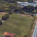 Bomberos atienden ataque de abejas africanas en la sede deportiva del América de Cali