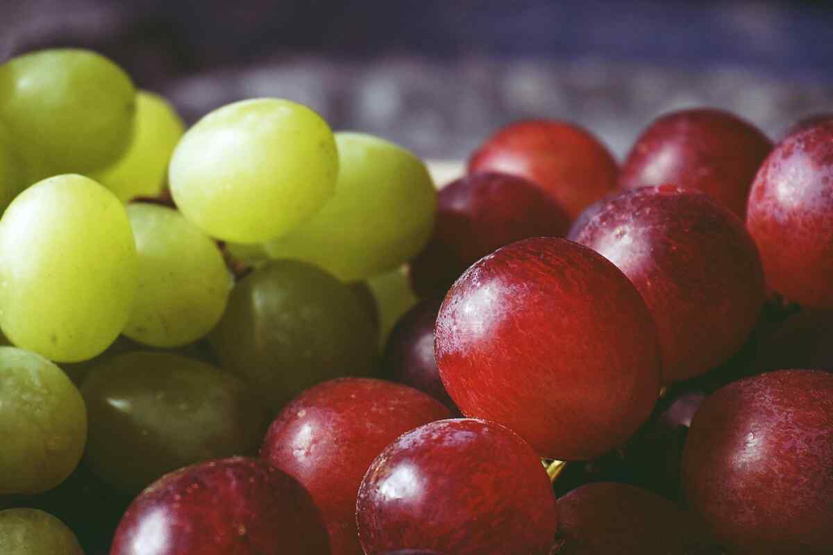Las frutas más dulces y las más amargas: ¿sabes cuáles son las que más afectan a tu nivel de glucosa?