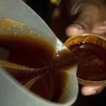 Turney Patricia Gail, Consumo de yagé le cuesta la vida a una mujer estadounidense en Barbosa: ¿qué es y qué riesgos tiene esta bebida?
