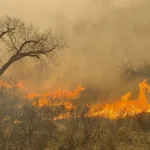 El peor incendio en la historia de Texas podría agravarse por el viento y las temperaturas