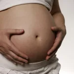 La dieta materna puede influir en los rasgos faciales, según un estudio en ratones