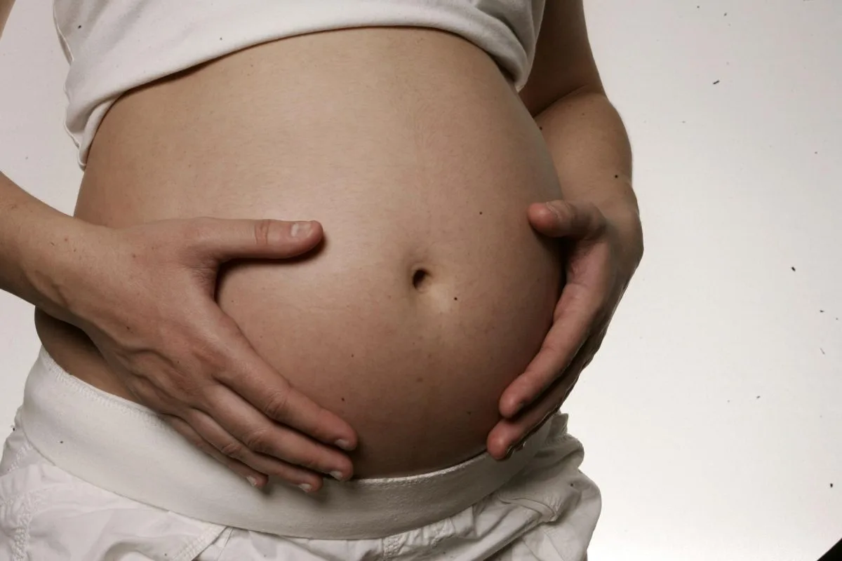 La dieta materna puede influir en los rasgos faciales, según un estudio en ratones