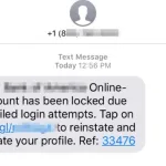 No te dejes engañar: aprende a identificar y prevenir el phishing y otras estafas online
