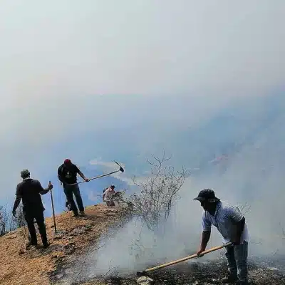 Incendio forestal en Anzá fue controlado en un 99% tras afectar 130 hectáreas