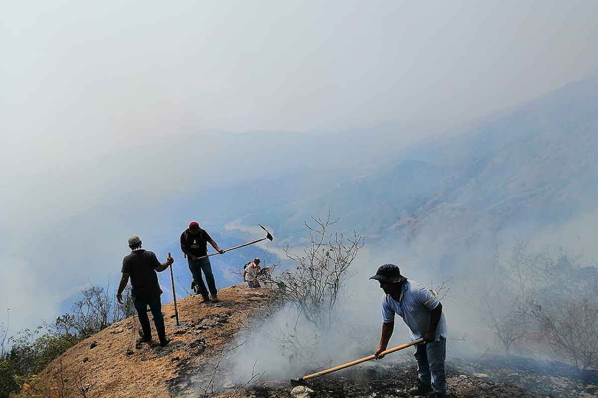 Incendio forestal en Anzá fue controlado en un 99% tras afectar 130 hectáreas