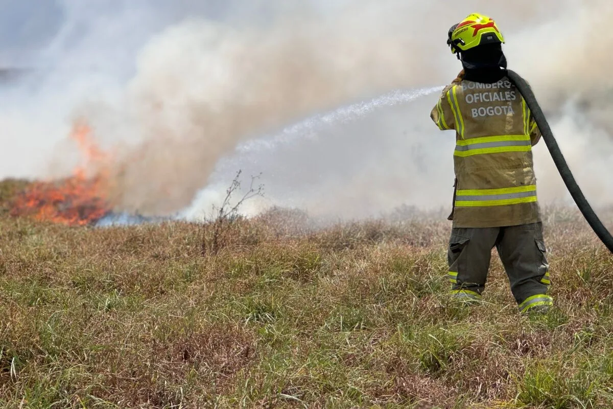 Alerta en Bosa: Incendio Forestal en Gibraltar Desata Nueva Ola de Evacuaciones