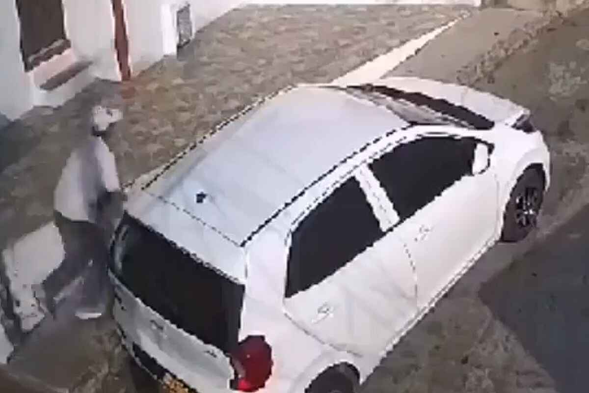 Dueños de mascotas, víctimas de estafa en Bucaramanga: les cobran por el rescate de sus animales