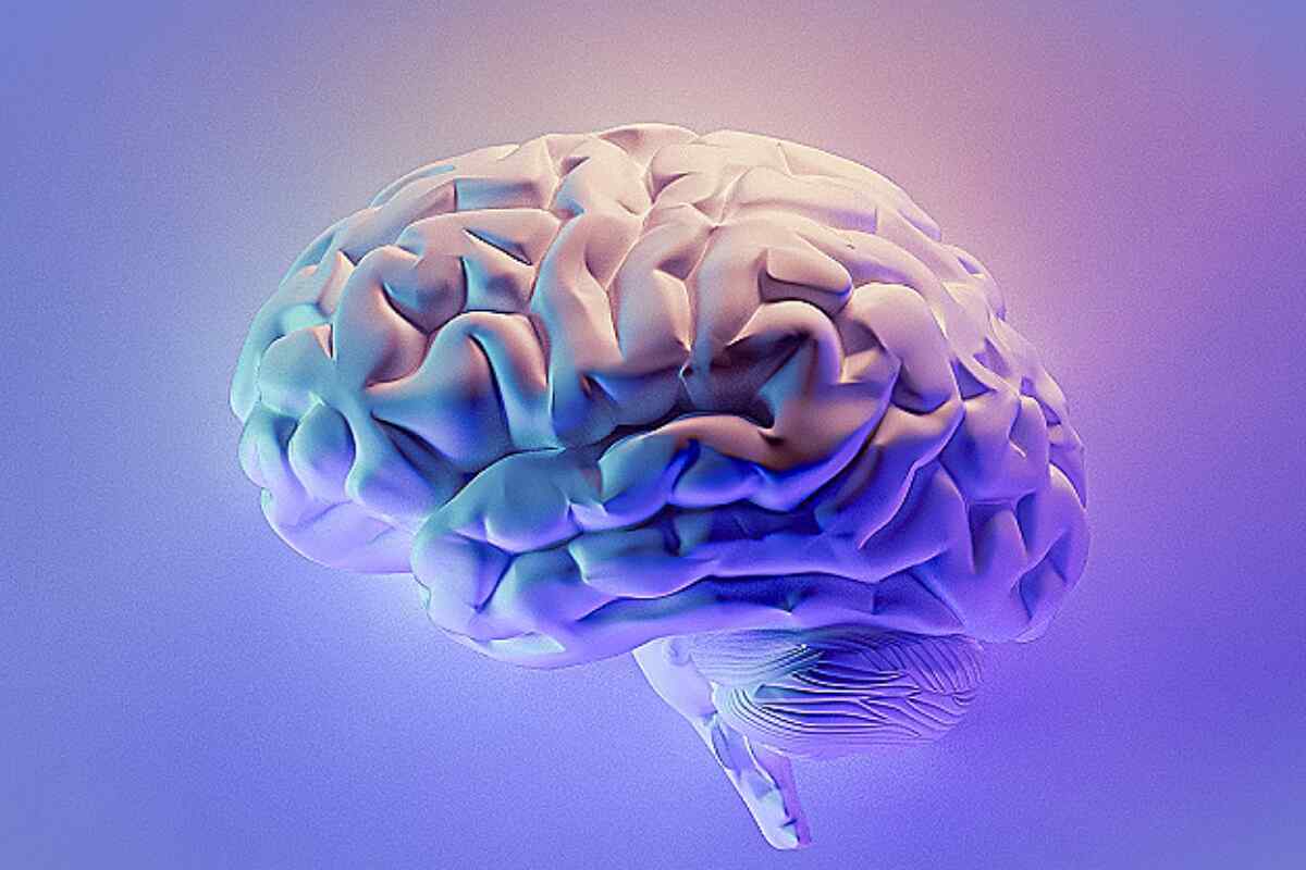 Descubre los hábitos que tu cerebro necesita para sentirse bien y vivir mejor
