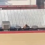 Indignación por el video de un hombre que se baña en el tanque de agua de un local de Burger King en Envigado