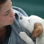 ¿Sabes cómo reconocer el amor de tu mascota? Te contamos 5 señales de que te quiere como a una madre