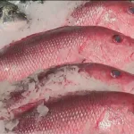 Guía definitiva para seleccionar el mejor pescado en Semana Santa
