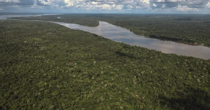Brasil y Colombia ayudaron a reducir la devastación de los bosques tropicales en 2023