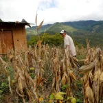 Colombia ingresa en la lista de países con inseguridad alimentaria aguda, según la ONU