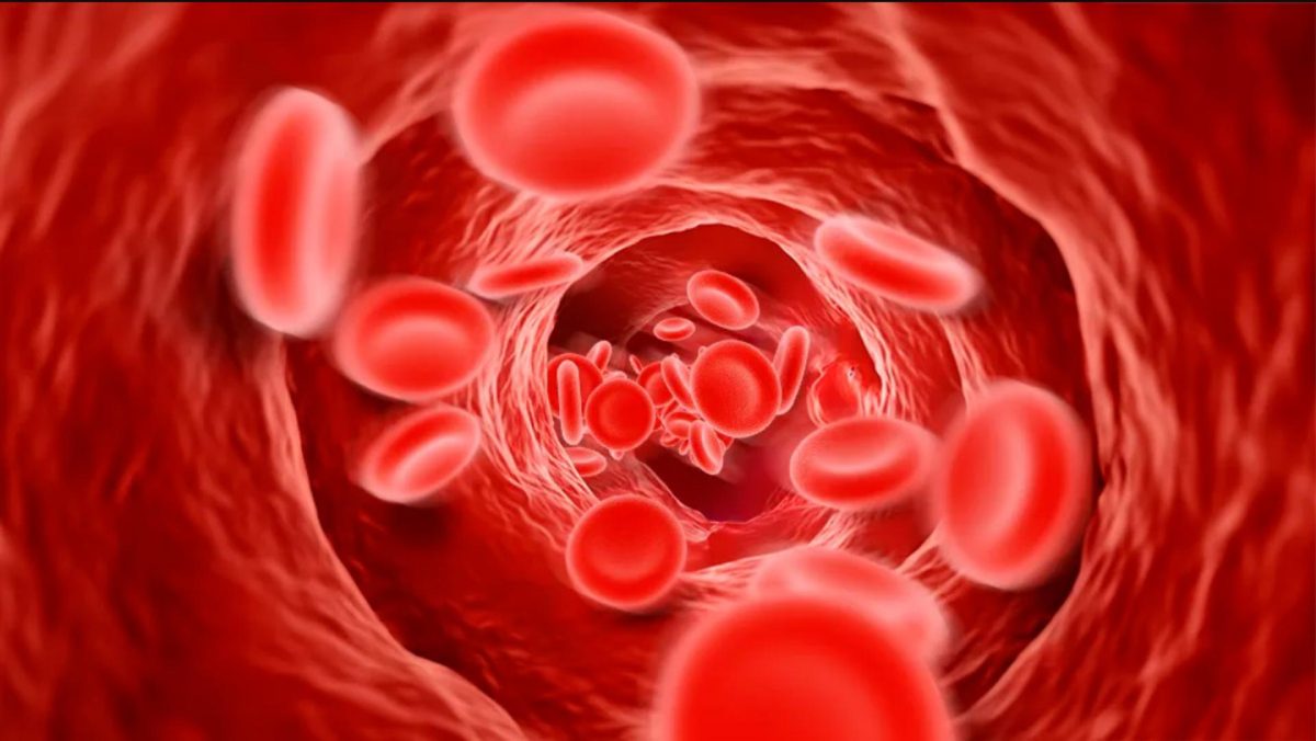 Descubren más de cien nuevas regiones genómicas relacionadas con la presión arterial