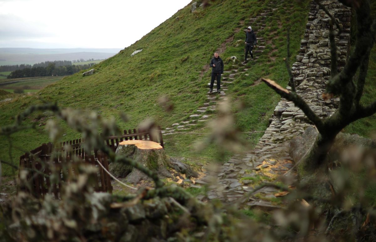 Dos acusados de talar el sicomoro conocido como el árbol de Robin Hood en Inglaterra