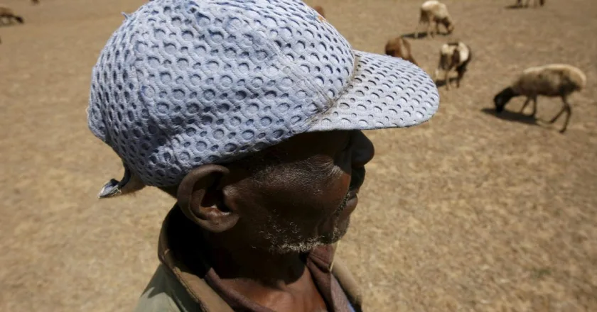 El sur de África está una “situación crítica” por una sequía intensa, denuncia la ONG CARE