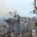 Incendios forestales azotan a la ciudad mexicana de Acapulco tras 6 meses del huracán Otis